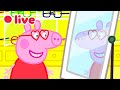 Peppa Pig AO VIVO Episódios Completos Desenhos Para Crianças Peppa Pig Em Português Brasil
