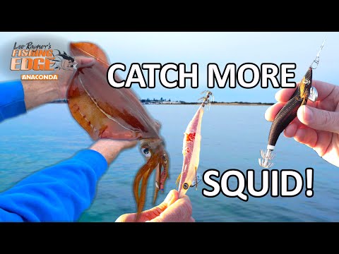 Learn how to catch more squid