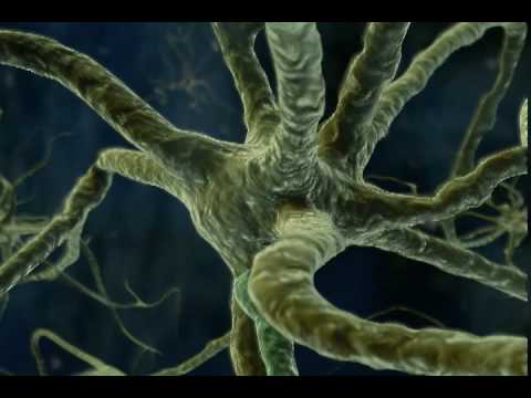 ADHD 101 (Health Short)