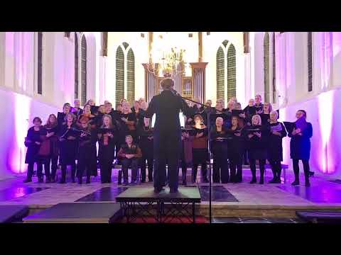 SZOK!! Holendrzy z Zeeland śpiewają kolędę po polsku nie znając języka