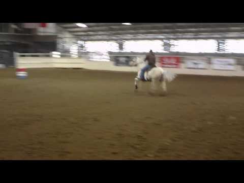 1-30-14 Champagne Colours exhibition with pushed back stakes at Lone Star Arena