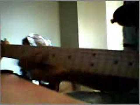 Counting Flowers on the Wall Solo - Eric Heatherly