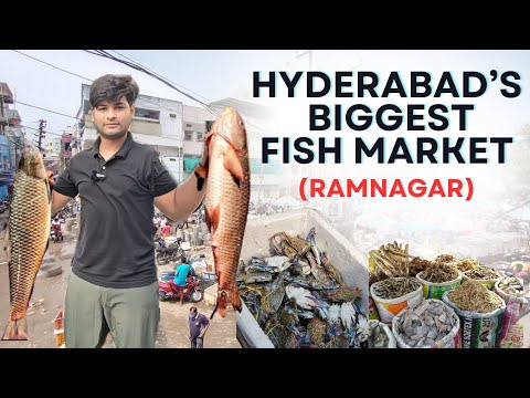 Ramnagar largest fish market 🐠 in Telangana (exploringbiggest fish market in Hyderabad)