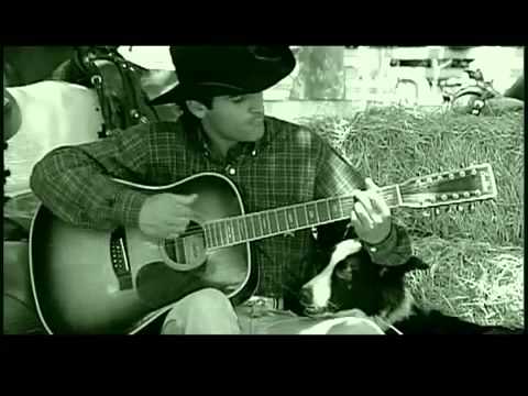 Fernando Bernardes _ DVD  County fair.