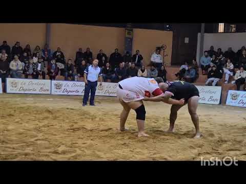 Resumen Adelfas- C.L. Unión Tijarafe-Guanche - Resultado final Adelfas 08- Tjarafe 12. 09/01/26