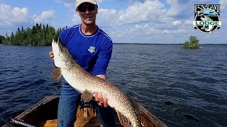 Big pike on the fly