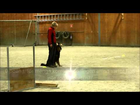 Edda talangtävling elitklass, 140111