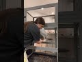 ITS TALLER THAN ME- #animals #chinchilla