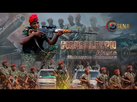 FINXAALEEYYII ALAGAA.Sintaayyoo Gulummaa.New Ethiopian Oromo Music2023.SENA.Studio Tube