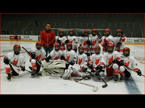 1. okt 2016: HK Jesenice - Crvena zvezda 2-3 (1. trećina)