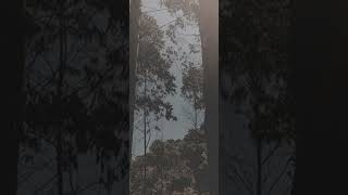 Feelin’ Myself - Nipsey Hussle x Lloyd (Sped Up)