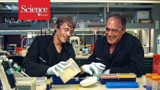 Even simple pipetting is not common sense