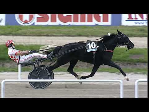 Napoli Trotto 19/05/2023 - 4ª corsa