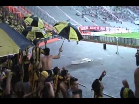 "Hinchada de Peñarol vs Estudiantes de La Plata. Compilado." Barra: Barra Amsterdam • Club: Peñarol