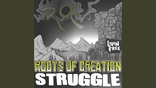 Struggle (feat. Melvin Seals)