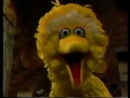 Sesame Street A Ridiculous Day With Monty