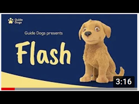 GUIDE DOGS   FLASH ANIMATION