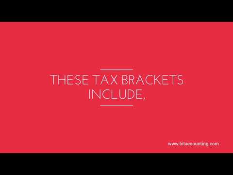 Black ink Tax and Accounting services | Tax city video.