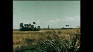 Quiet Village (Everglades Mix)