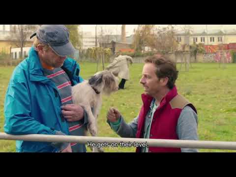 Look Who's Back (2015) - Hitler Shoots A Dog