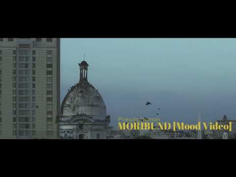 PSEUDO HUMAN //「Moribund」[Mood Video]