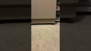 Download lagu 92$29262924$:837;!(8(!4@;!;(84?48;!($?8('t@(&84&55859594@6720820262926292&2!49(!58;$;$(@4$47;&4!(8($ mp3 Download lagu 92$29262924$:837;!(8(!4@;!;(84?48;!($?8('t@(&84&55859594@6720820262926292&2!49(!58;$;$(@4$47;&4!(8($ mp3