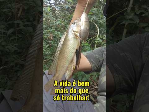 Tem lugar onde o tempo parece andar mais devagar. Você viveria um dia assim? #vidanaroça  #Natureza