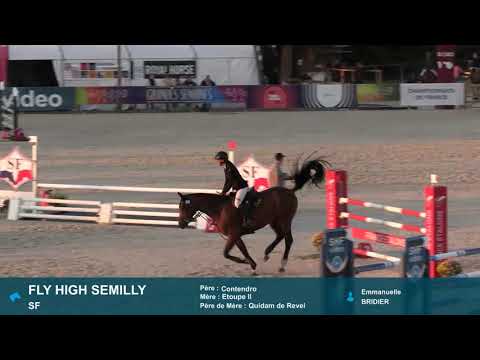 FLY HIGH SEMILLY (Contendro x Quidam de Revel) 6ans Fontainebleau 2021