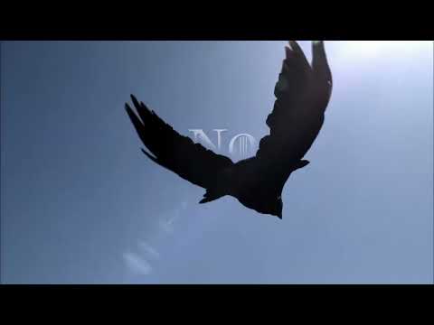 The Open "The North" tease