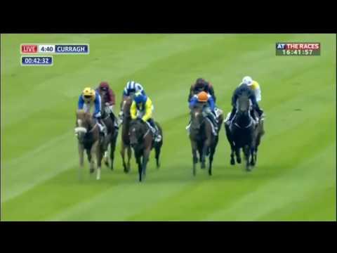 Medicine Jack - GAIN Railway Stakes - (Group 2) - 2016