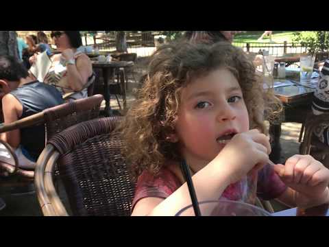 Dahan Family - Last 3 years