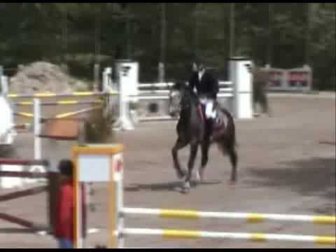 Cicero Z van Paemel - Filot '05