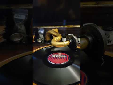 On the Alamo - Golden Gate Dance Orchestra (California Ramblers) Cameo Records #227 1922