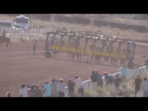 ER CHISPAZO - CUTRAL CO