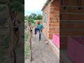 Pedreiro Da Trena Do Lado