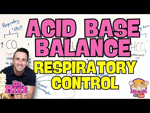 Acid Base Balance | Respiratory Regulation