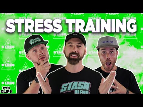 LST vs HST: The Big Mistake! | FTS Clips