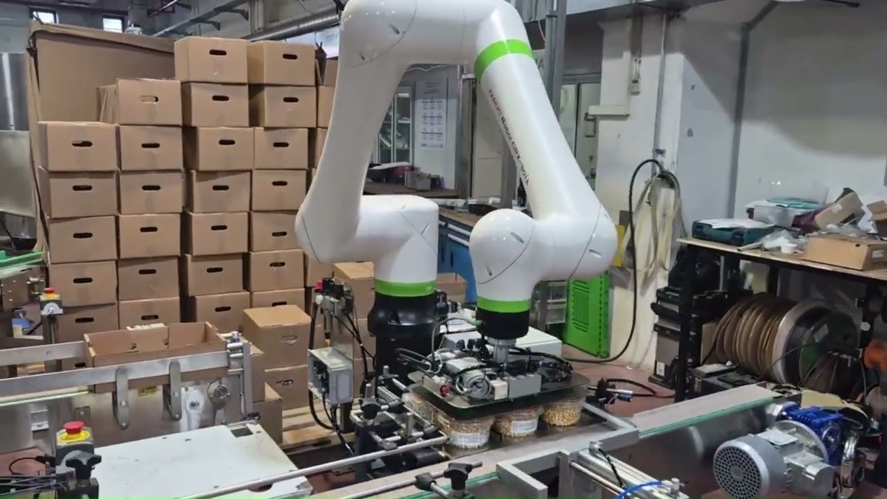 Robotic Palletizing and Case Packing solutions by TADBIK