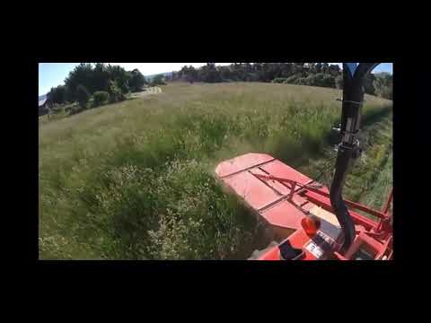 2023 TAR RIVER BDR185 For Sale