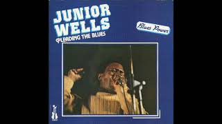 Junior Wells,Cut out the lights