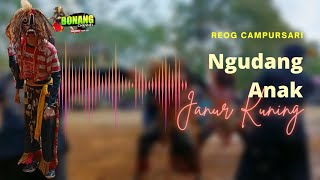 Download lagu nGudang Anak || Reog Campursari Janur Kuning || Bass Gleer mp3