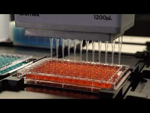 Biomek i-Series: 96 Multichannel Selective Tip Pipetting by Row and by Column