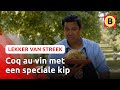 De Chaamse hoen was bijna uitgestorven, maar Geert heeft ze gered | Omroep Brabant