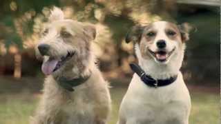 A História de Sofia - Filme da Panvel