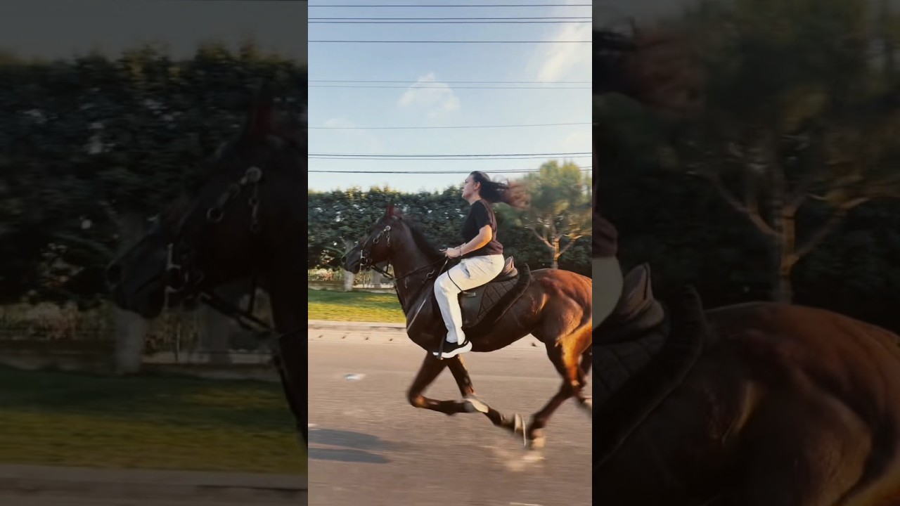 Girl Horse Speed Up 🐎🔥 | Amazing Horse Riding