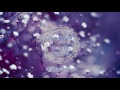 Iron & Wine * Prison On Route 41 * ThePurpleMusic