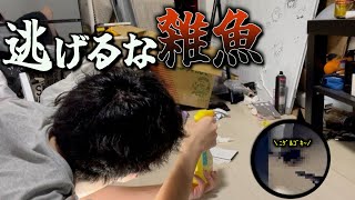 【不法侵入】ゴミ部屋にGが入ってきました。1人で戦うアラサーのリアルな恐怖