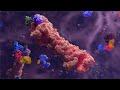 Targeted Protein Degradation | MOA Animation