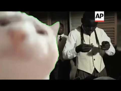 Cat Vibing To Coffin Dance(Astronomia)