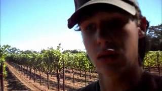 Update: shooting trap, almost got killed in a car crash.